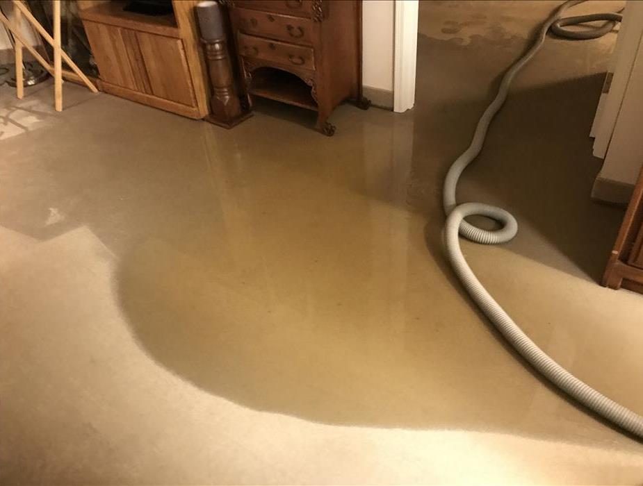 water damaged carpet