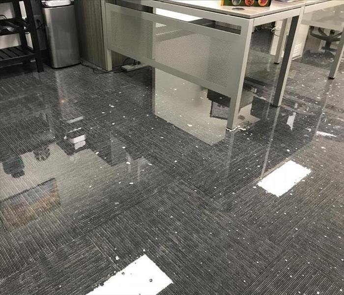 Submerged carpet in commercial building