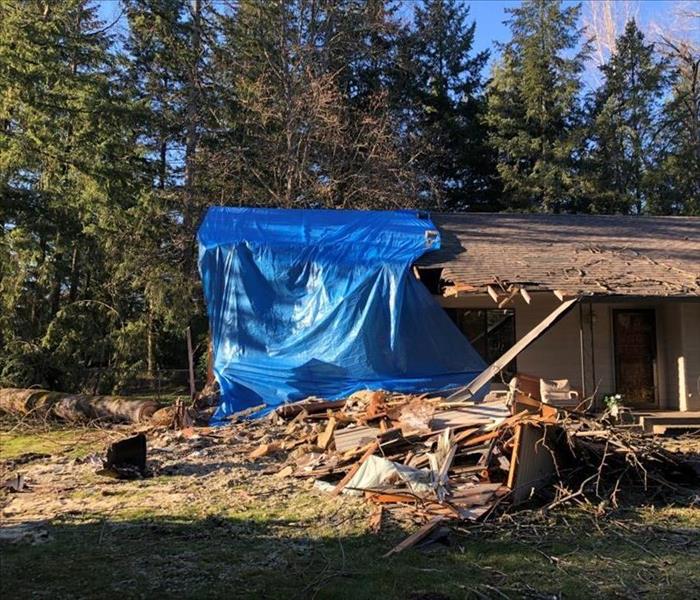 home damaged by fallen tree, tarped.