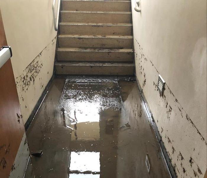 Water damaged stairwell with flood line 